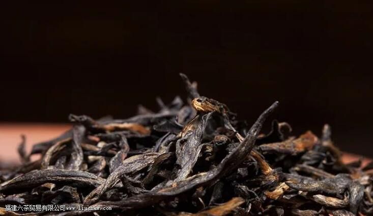 ��ü��Ҷ�������޶��