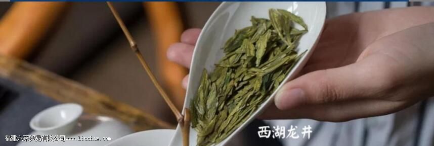 ��ѧ���裬���ڳ·ŵĲ�Ҷ�����ܺ���