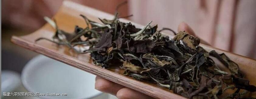 老白茶怎么保存 老白茶怎么保存