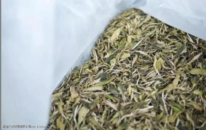 老白茶怎么保存 老白茶怎么保存