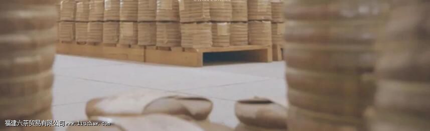 �ϲ�ִ����㶫�֡������֡������֡��۲���֪����