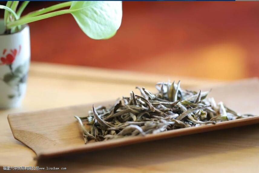 六大茶类如何存放 这份存茶秘籍助你存好茶 六大茶类如何存放 这份存茶秘籍助你存好茶