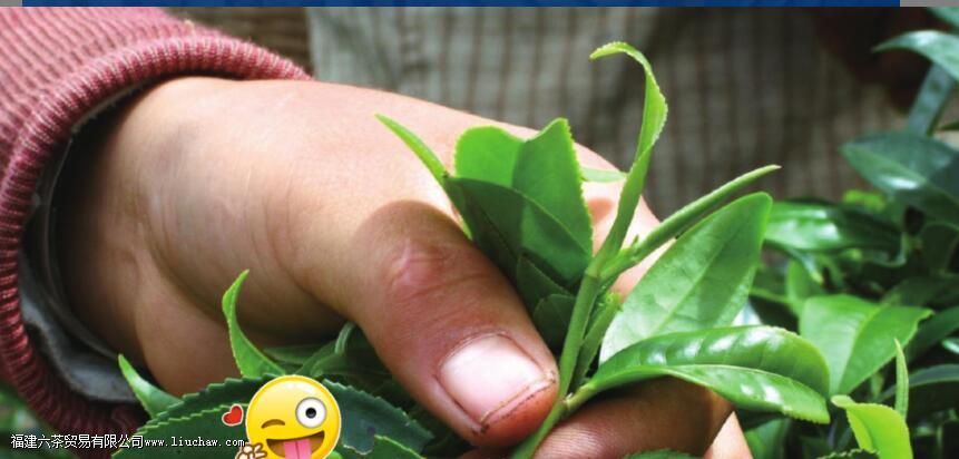 �ն�������˻��ܺ���