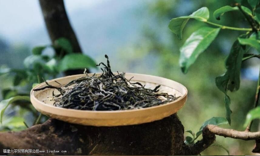 普洱散茶适合长期存放吗 普洱散茶适合长期存放吗