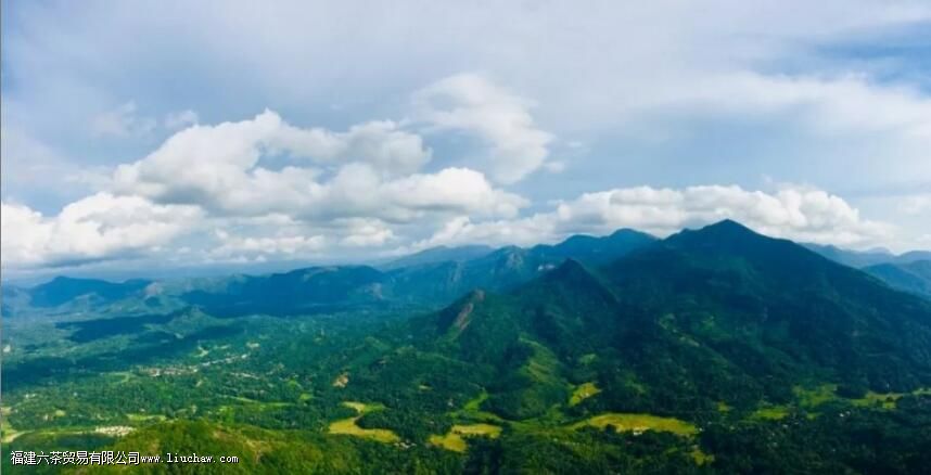 斯里兰卡红茶的保质期一般是多久 斯里兰卡红茶的保质期一般是多久