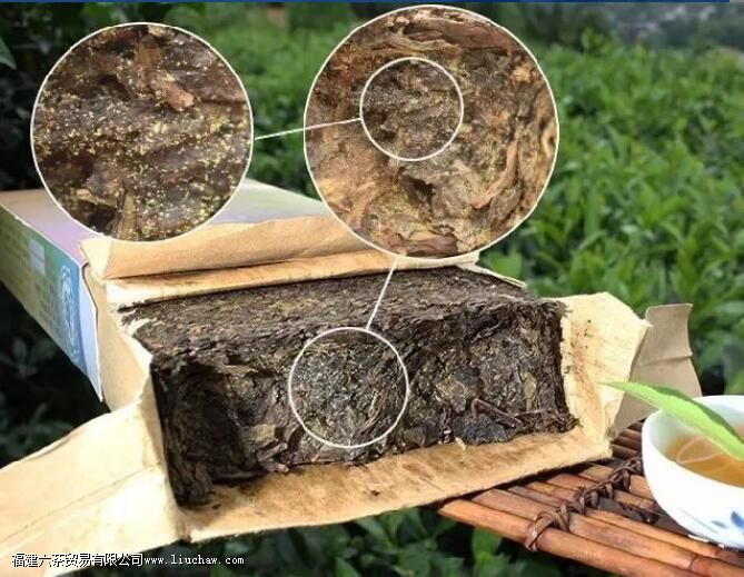 为什么茯茶不会过期,反而还能“越陈越好” 为什么茯茶不会过期,反而还能“越陈越好”