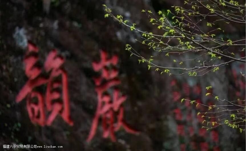 武夷岩茶保质期 武夷岩茶保质期