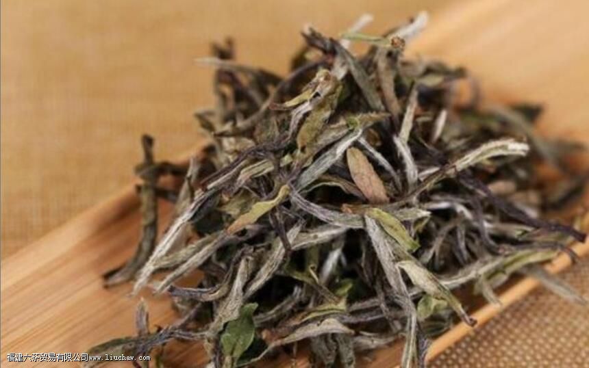 С�޲����¶�