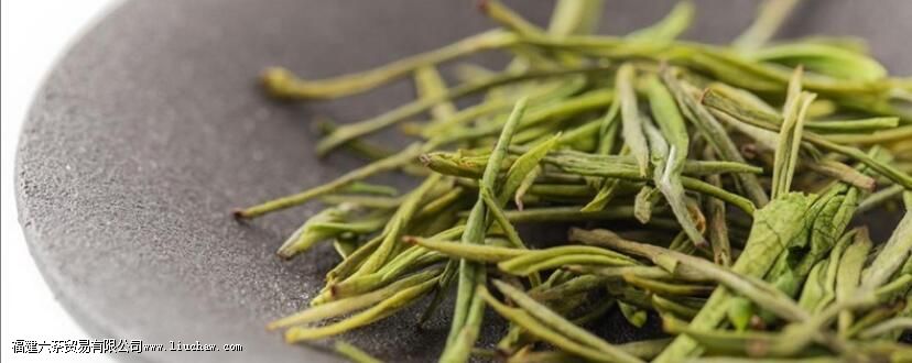 安吉白茶什么人不宜喝 安吉白茶什么人不宜喝