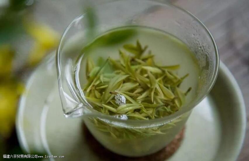 安吉白茶什么人不宜喝 安吉白茶什么人不宜喝