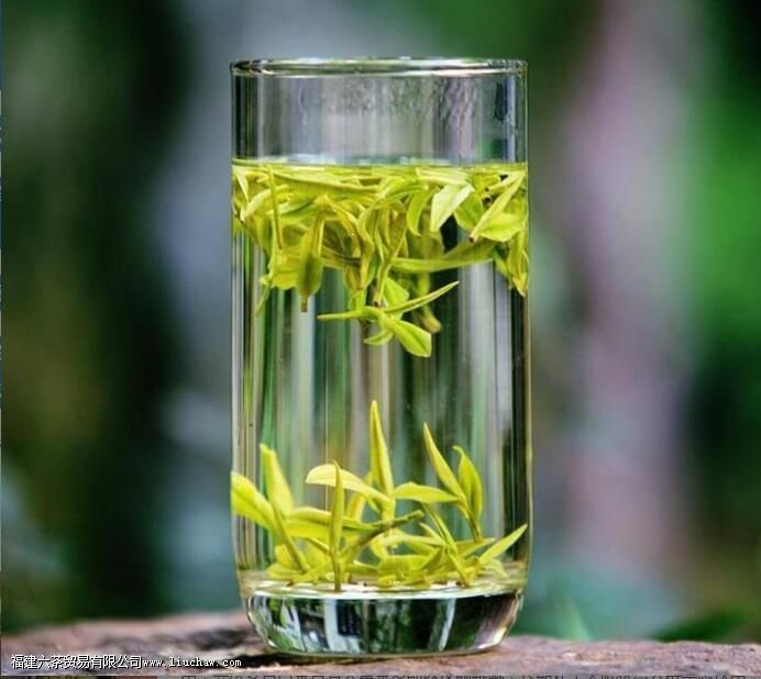 安吉白茶什么人不宜喝 安吉白茶什么人不宜喝