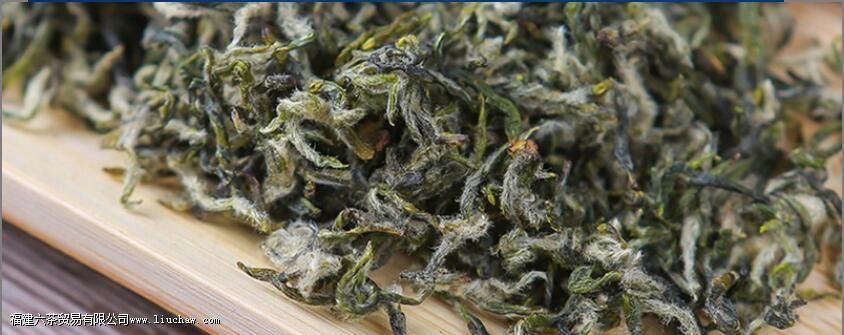 碧螺春茶禁忌人群 碧螺春茶禁忌人群