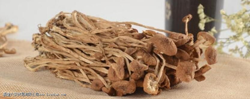 茶树菇不适宜人群 茶树菇不适宜人群