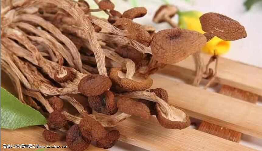 茶树菇不适宜人群 茶树菇不适宜人群