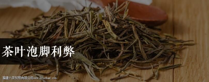 ��Ҷ�ݽ�����