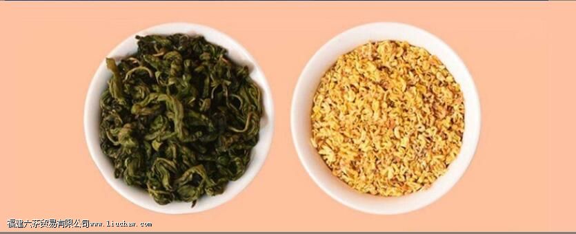 ����͹��ݲ����