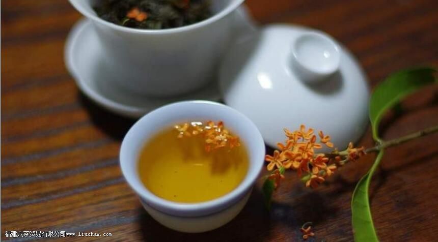 ���ݲ����