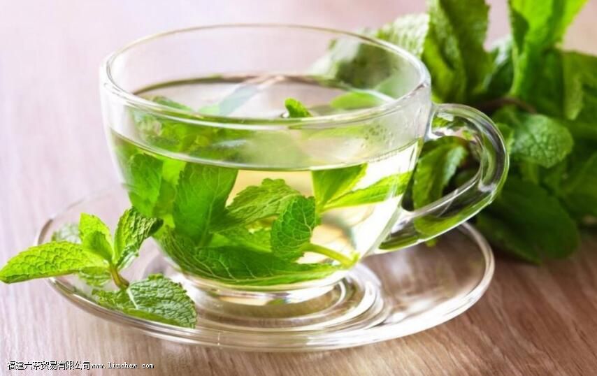 喝薄荷茶有什么坏处 喝薄荷茶有什么坏处