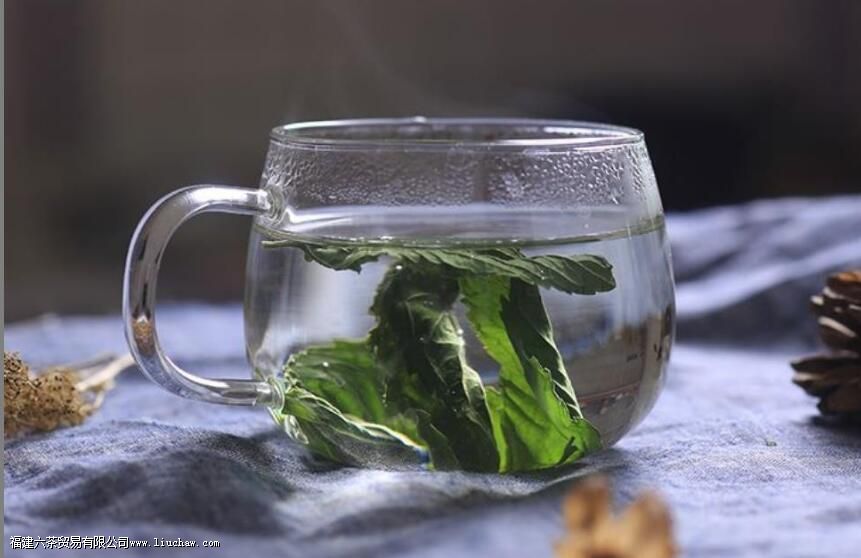 喝薄荷茶有什么坏处 喝薄荷茶有什么坏处