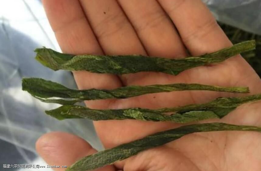 �����ʲô�˲��ܺ�