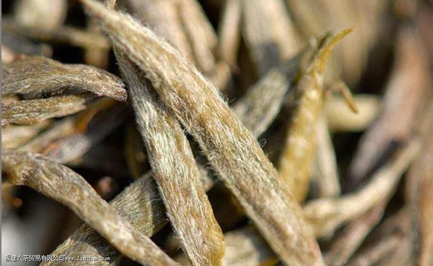 �Ʋ費�ʺ���Щ�˺�