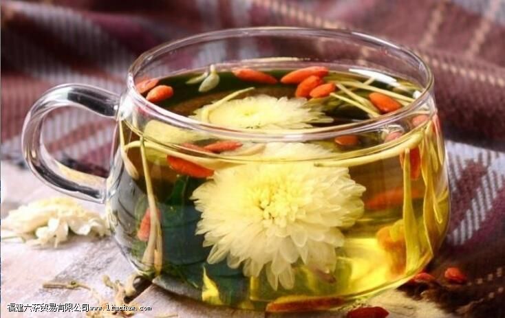 菊花金银花枸杞茶的副作用 菊花金银花枸杞茶的副作用