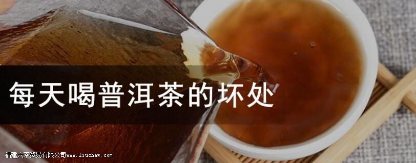 每天喝普洱茶的坏处 每天喝普洱茶的坏处