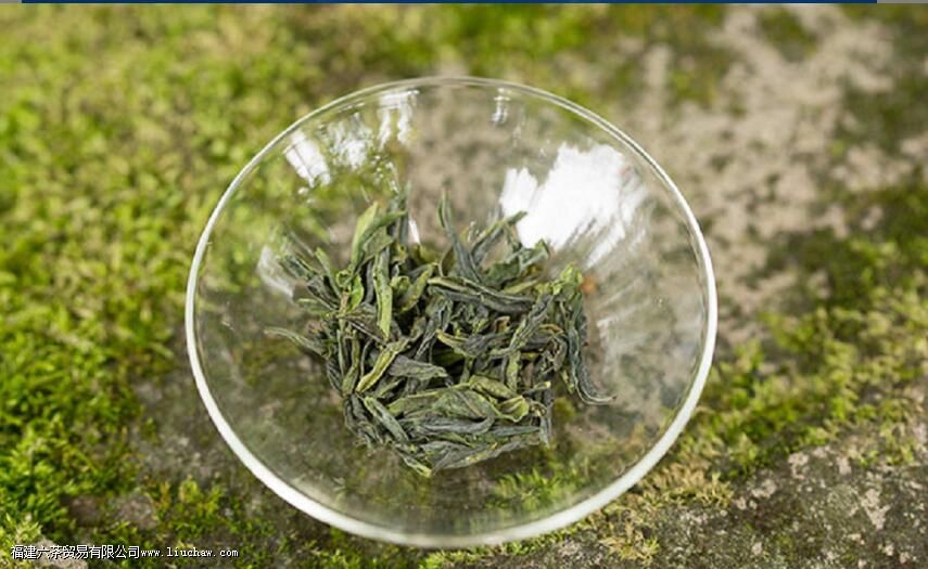 Ů�˺�������Ƭ�Ļ���