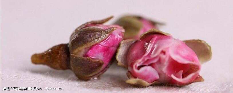 女生喝玫瑰花茶的危害 女生喝玫瑰花茶的危害
