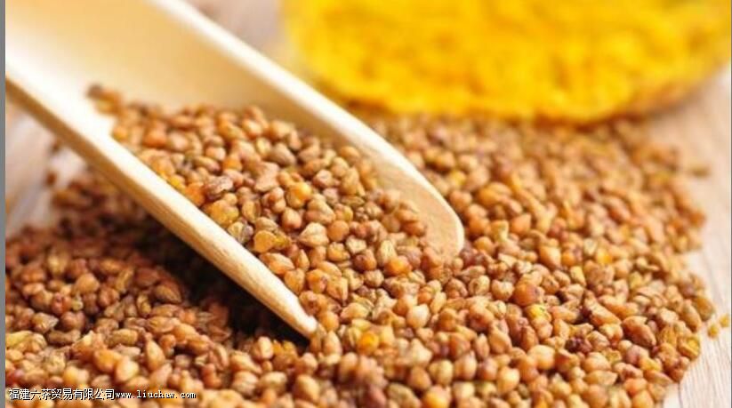 Ů�Ժȿ����Ľ���