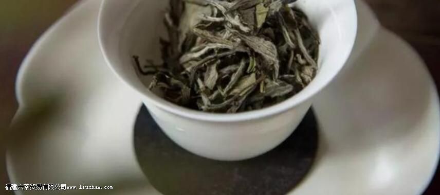 女性为什么要少喝绿茶 女性为什么要少喝绿茶