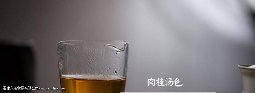 ����ʲô�˲��ܺ�