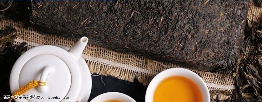 什么人不能喝茯茶 什么人不能喝茯茶