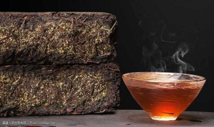 什么人不能喝茯茶 什么人不能喝茯茶