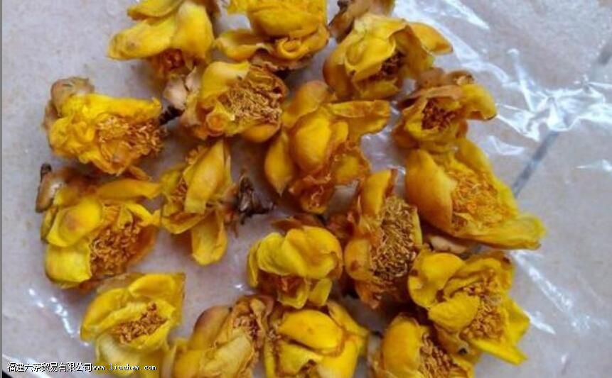 什么人不能喝金花茶 什么人不能喝金花茶