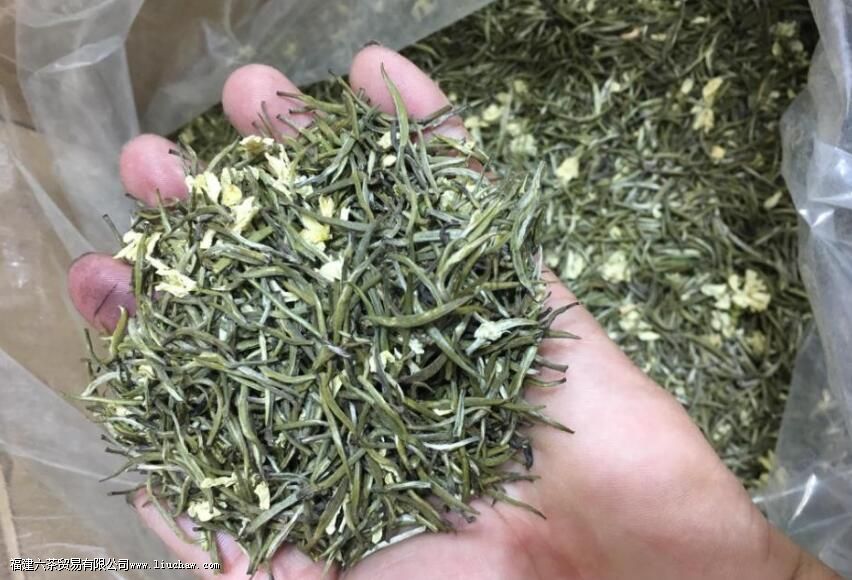 什么人不能喝茉莉花茶 什么人不能喝茉莉花茶