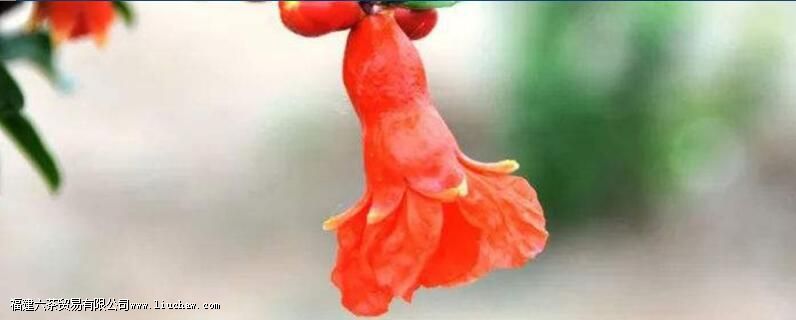 ʯ���ݲ踱����