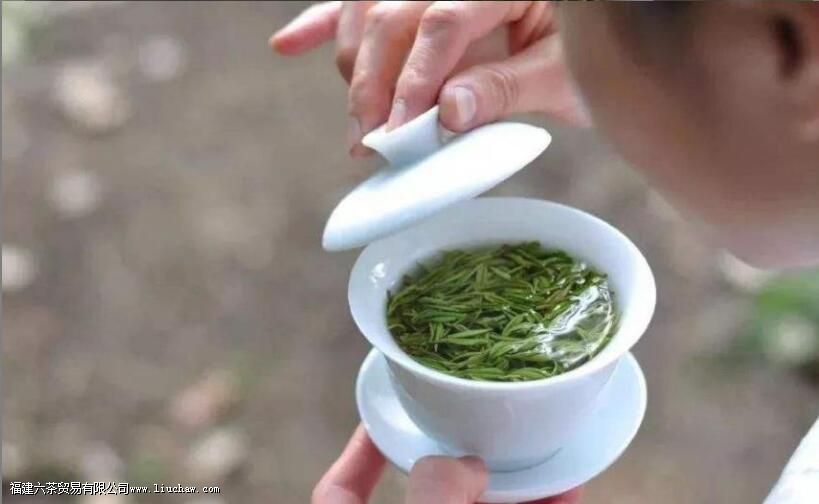 ���ϺȲ�Ҷ��������к���