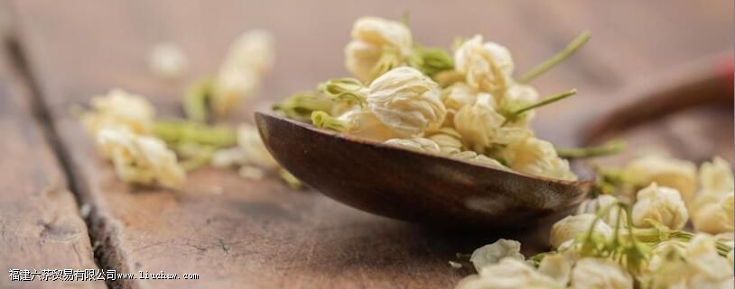 晚上可以喝茉莉花茶吗 晚上可以喝茉莉花茶吗