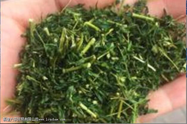 相思茶什么人不能喝 相思茶的禁忌 相思茶什么人不能喝 相思茶的禁忌