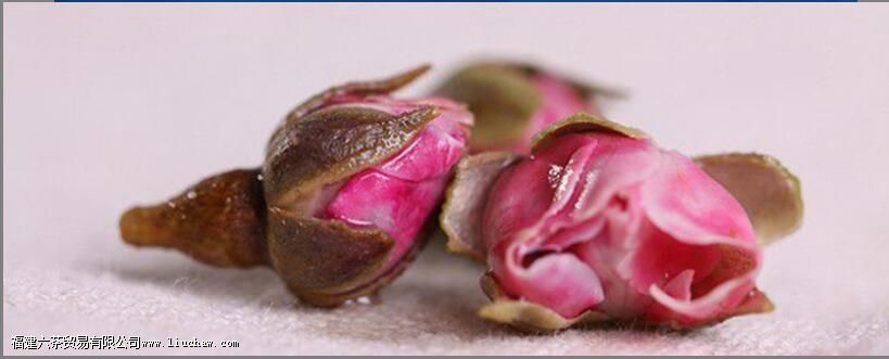 ���ں�õ�廨�ĸ�����