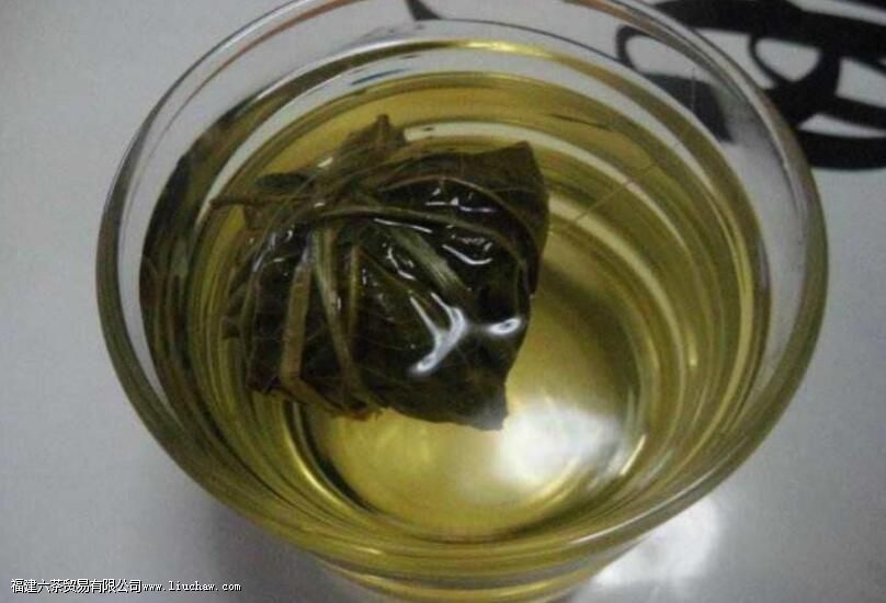 鹧鸪茶的禁忌 鹧鸪茶的禁忌