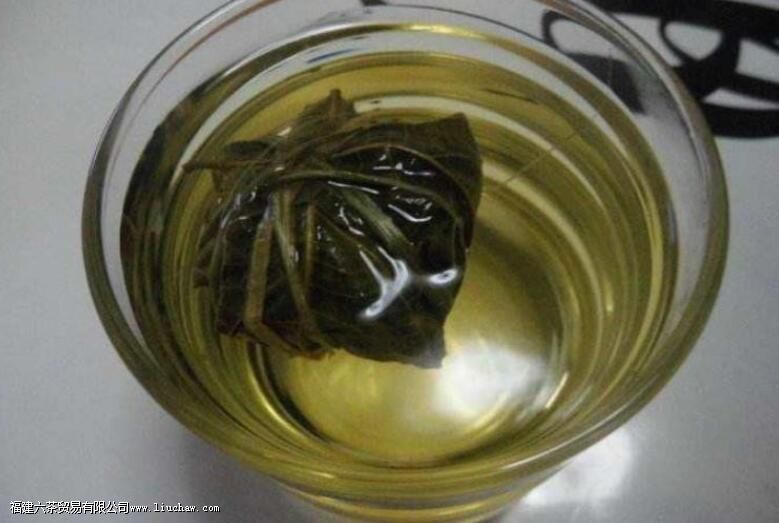 鹧鸪茶什么人不适合喝 鹧鸪茶什么人不适合喝