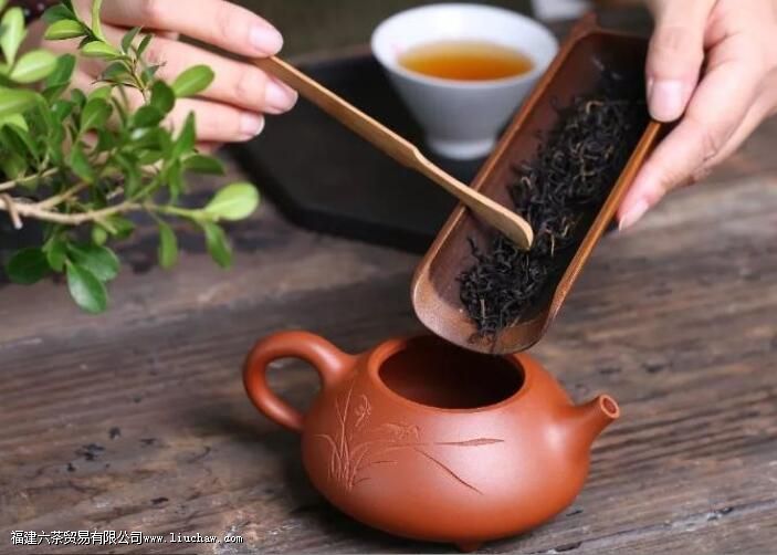 好壶靠养,但方法更重要! 好壶靠养,但方法更重要!