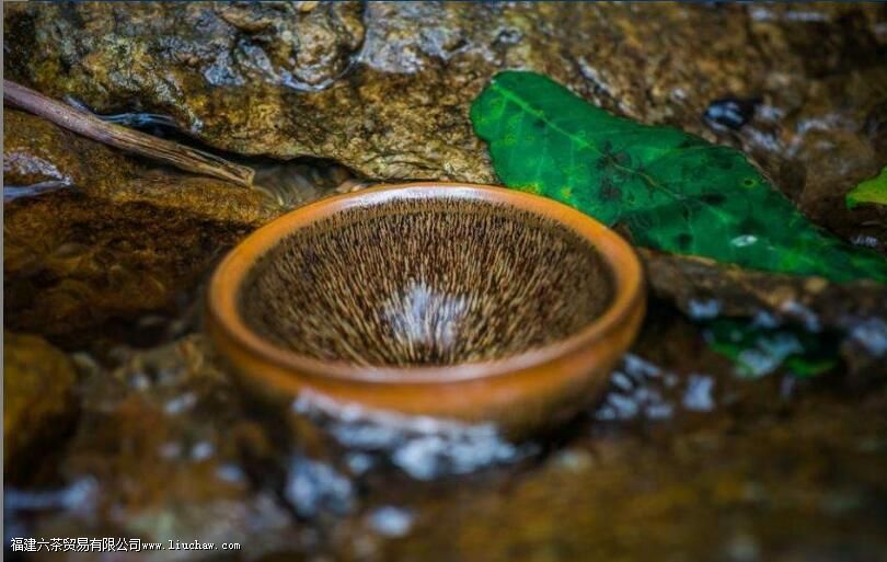 ��յ�����ԺȲ�ͬ�Ĳ���