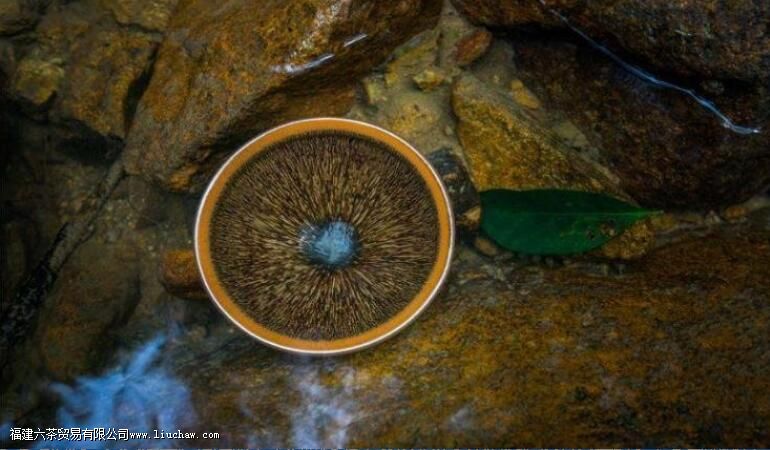 ��յ������ֱ���ݲ���