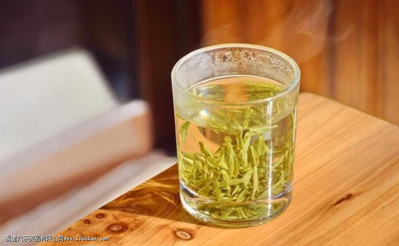 泡茶用具中的主泡器有哪些 泡茶用具中的主泡器有哪些