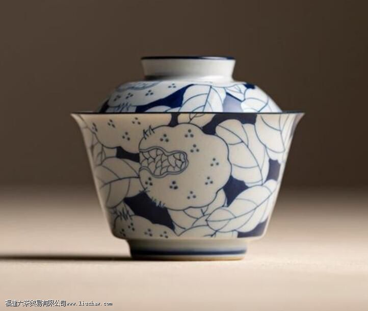 ���Ÿ�������Ÿ�����ʲô����