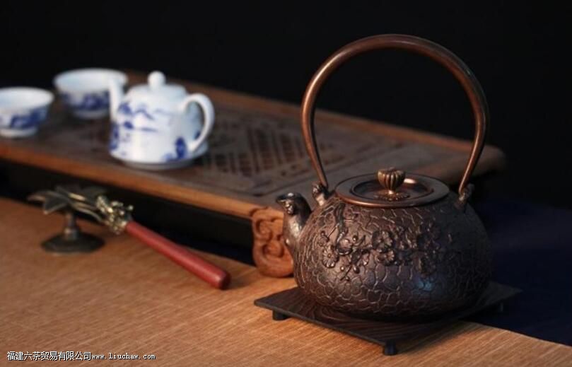 ��ˮ�ݲ���ʲô�����