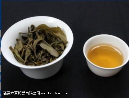 ���ն�����ʲô��ߺ� ѡ�Բ�߲����ݳ��ն��������ζ��